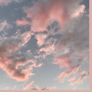 Meet your Posher, Brenly